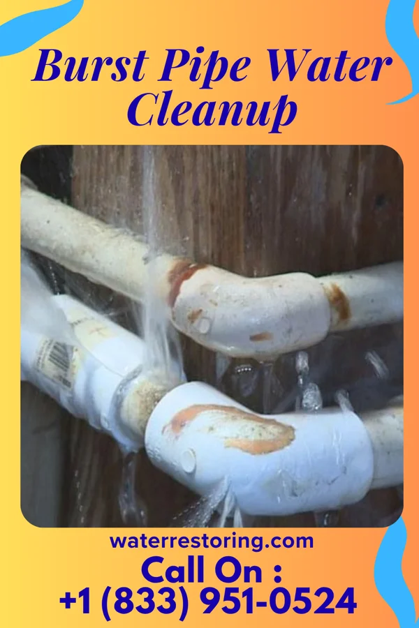 Burst Pipe Water Cleanup in Harrison, WI